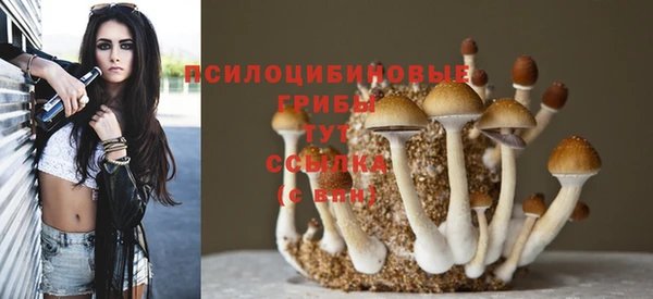 2c-b Киреевск