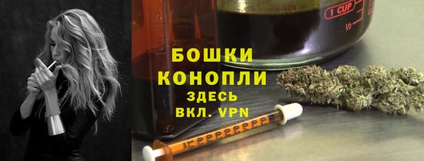 дживик Киренск