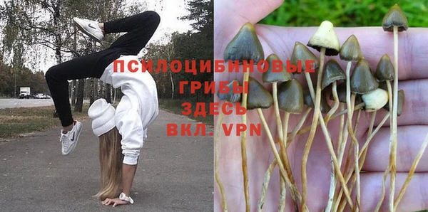 2c-b Киреевск