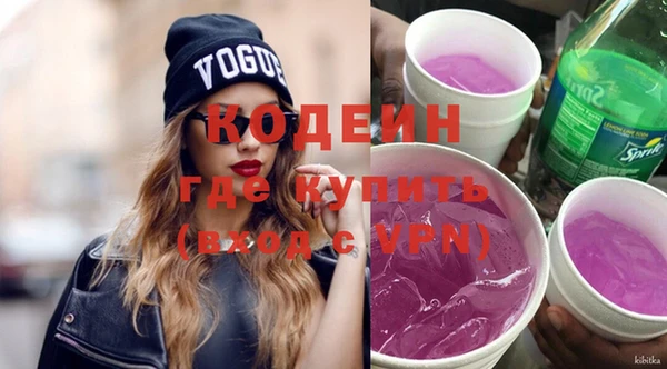 дживик Киренск