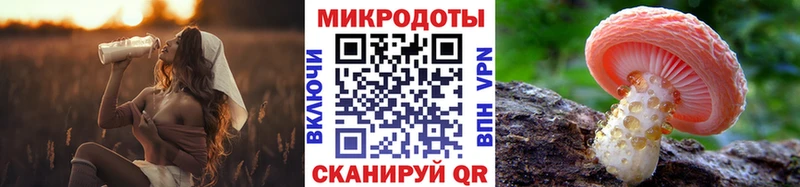 Купить закладки  Болгар  Псилоцибиновые грибы ЛСД 